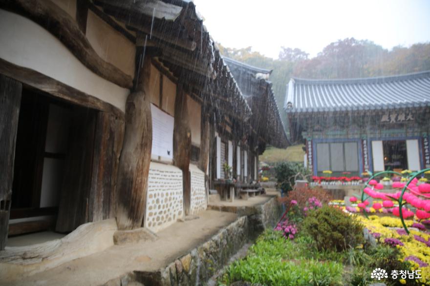 > > >충남관광