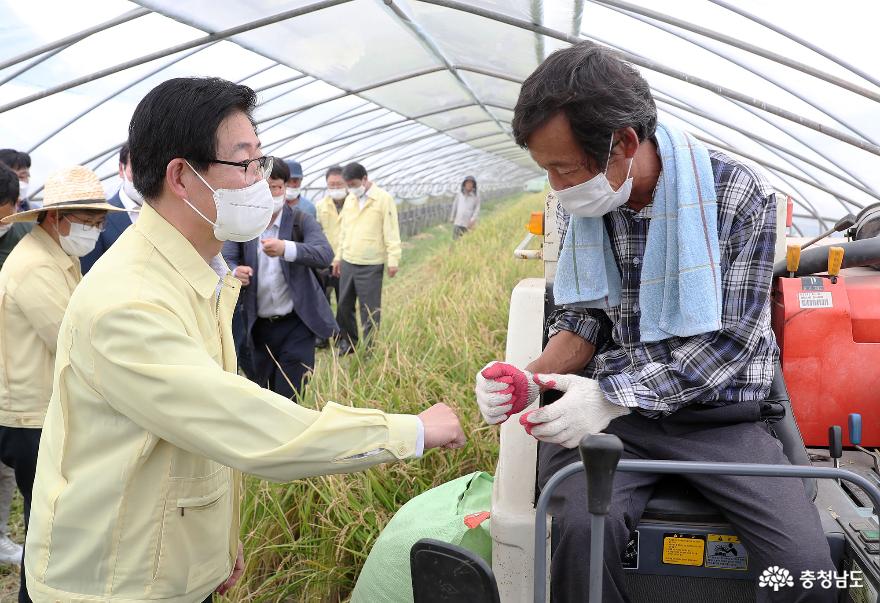 Opening the era of Korea’s first rice triple cropping 2