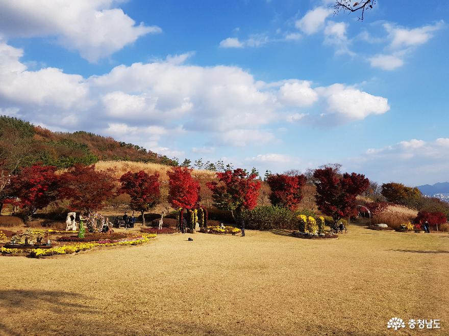 가을빛이 아름다운 영인산 수목원 사진