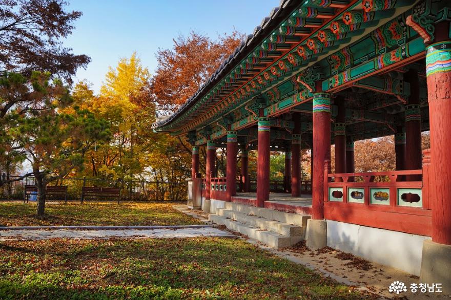 가을의 흔적은 우리 동네 공원에서, 천안 남산 공원에 찾아온 가을