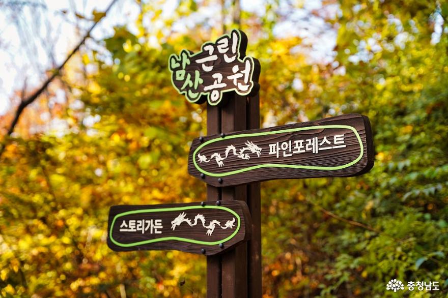 가을의흔적은우리동네공원에서천안남산공원에찾아온가을 3