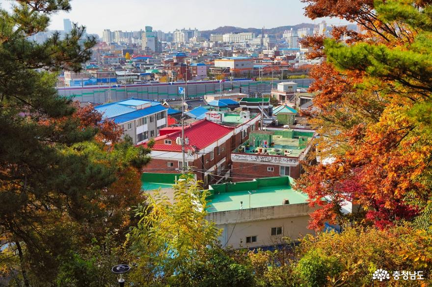 가을의흔적은우리동네공원에서천안남산공원에찾아온가을 9
