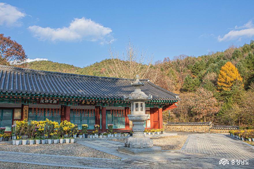  >  > >충남관광