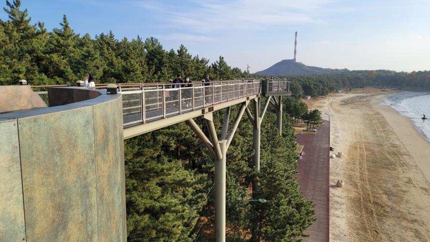 위드 코로나  최고의 산책코스 서천 송림공원