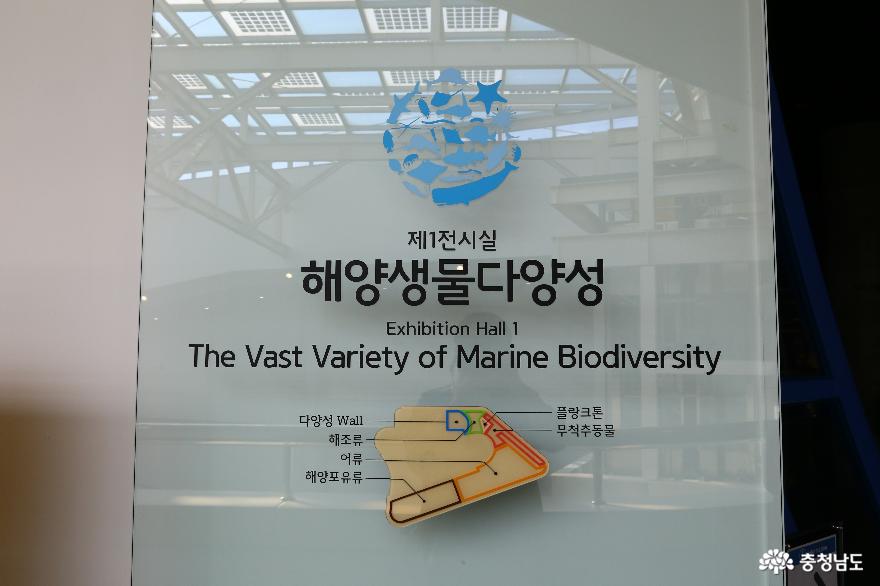 국립해양생물자원관 해양생물 다양성 전시 충남 서천 여행 사진
