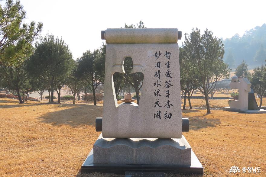 충남에서만날수있는천연기념물예산용궁리백송 4