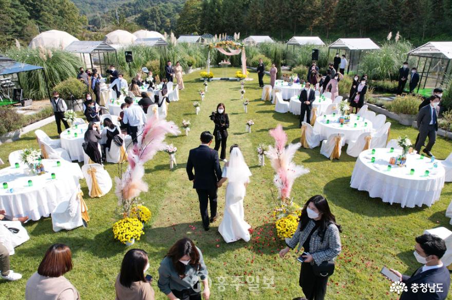 야외 결혼식도 가능한 식물원이 홍성에 있었네!