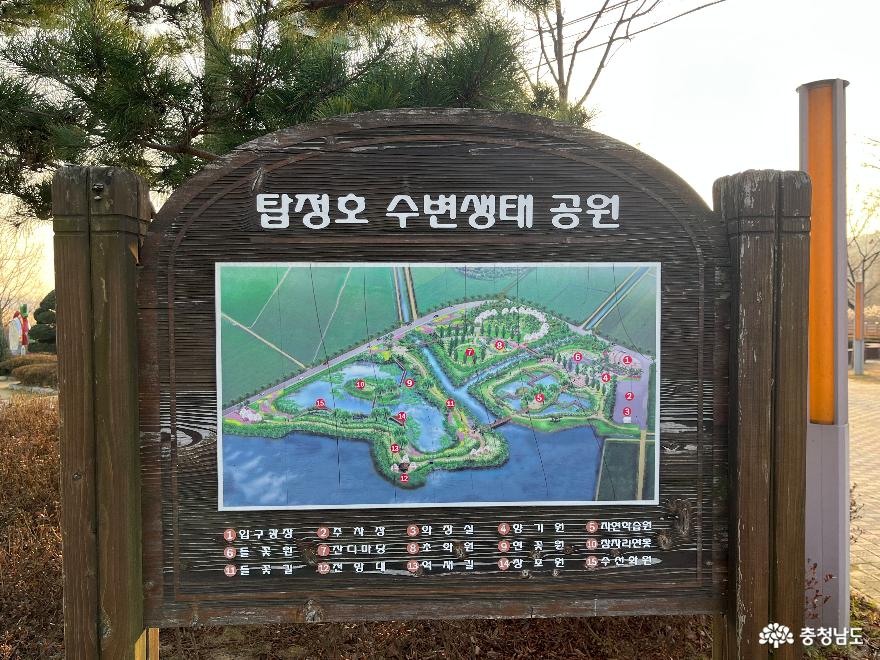 논산의숨은명소탑정호수변생태공원 2