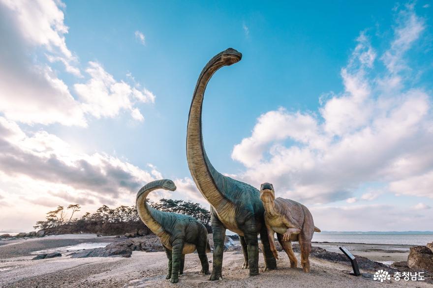 보령에서 만나는 공룡 : 아이와 함께 즐거운 겨울방학을 보내요