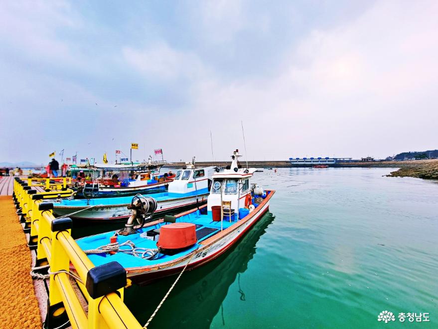 이색적인 해상장터와 수산물직매장이 있는 삼길포항의 식도락 관광!