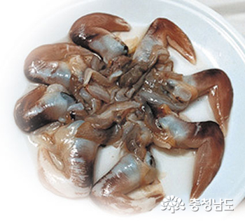홍성남당항명품조개새가털도없이태어난다 2