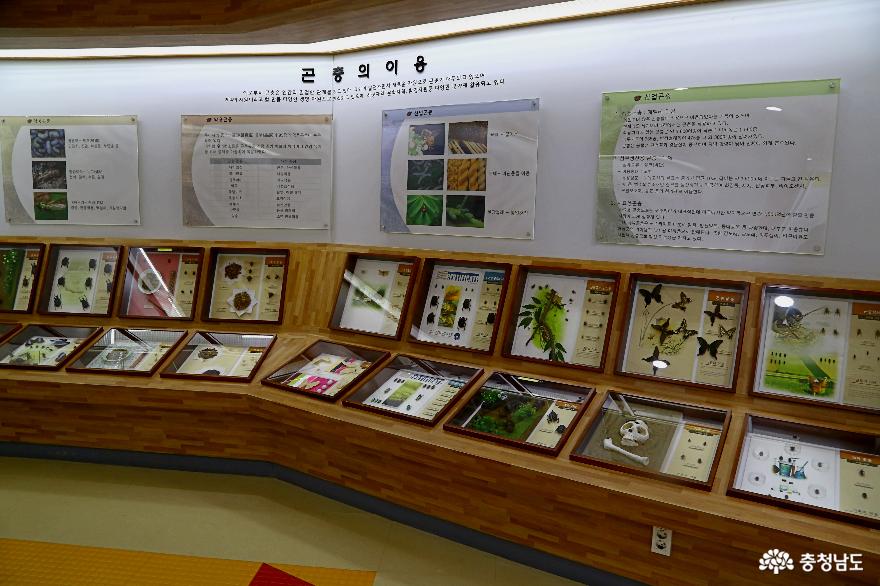 아산환경과학공원생태곤충원충남아산시박물관여행 6