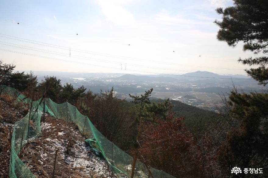 충남관광