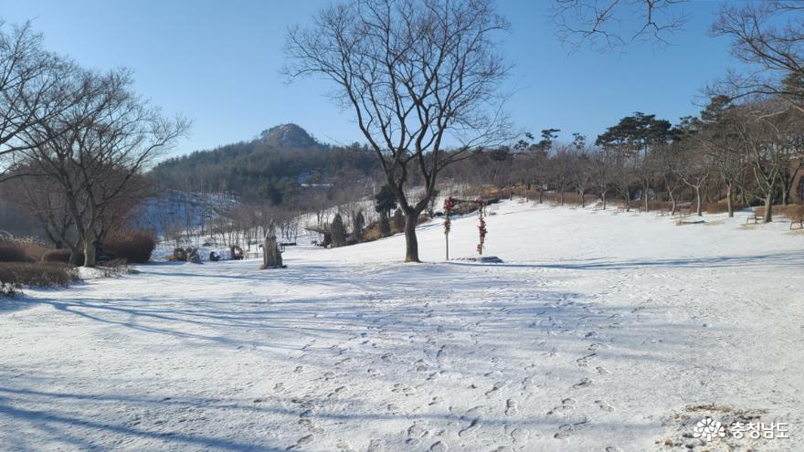 영인산 자연휴양림에서 겨울 산책 즐기기 사진