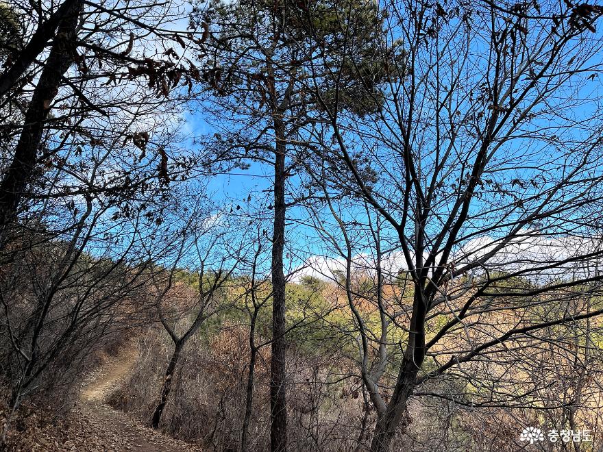겨울의진미굴과함께패키지여행천북봉화산등반 3