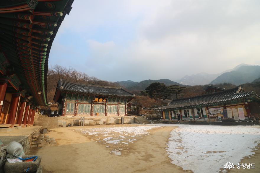겨울 산사의 정취를 느낄 수 있는 계룡산 갑사 사진