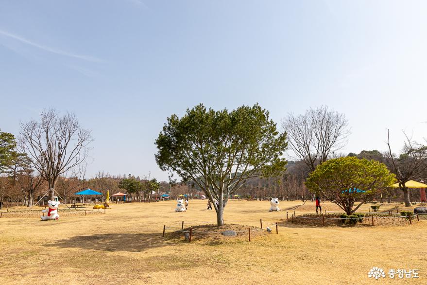 봄날, 논산시민공원에서 '걷쥬'하세요