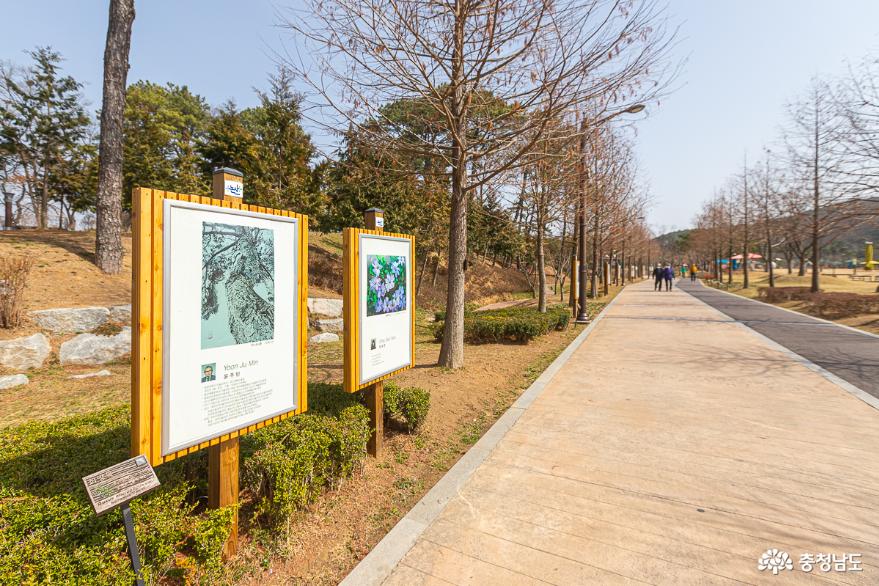 봄날, 논산시민공원에서 '걷쥬'하세요 사진