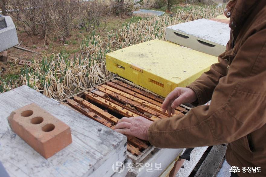 사라진 꿀벌들… 생태계 붕괴와 식량위기의 서막일까?