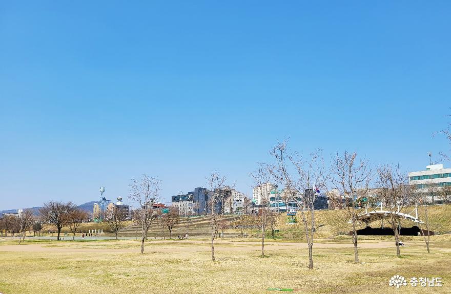 봄이 기다려지는 곳 공주 금강신관공원