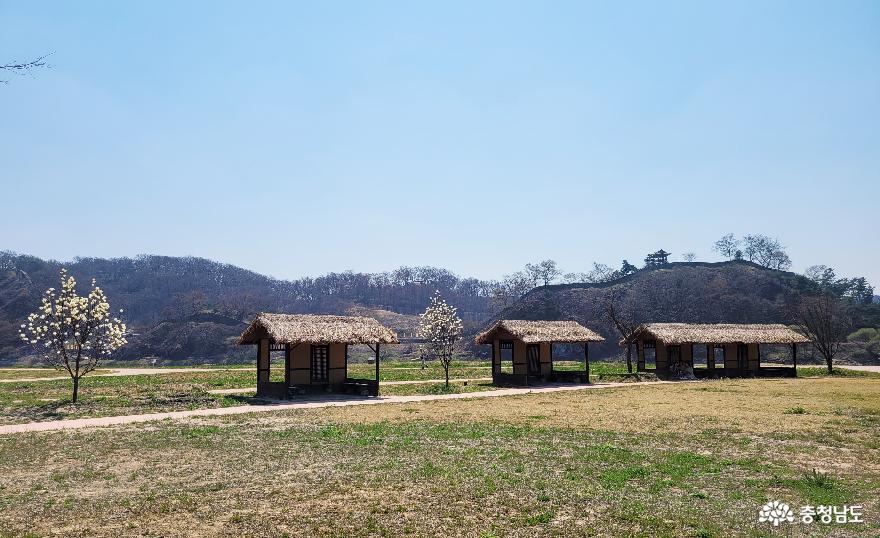 봄이기다려지는곳공주금강신관공원 7