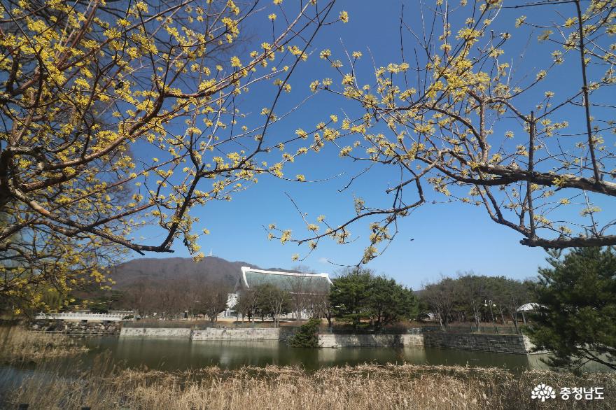 봄나들이 명소, 천안 독립기념관 사진