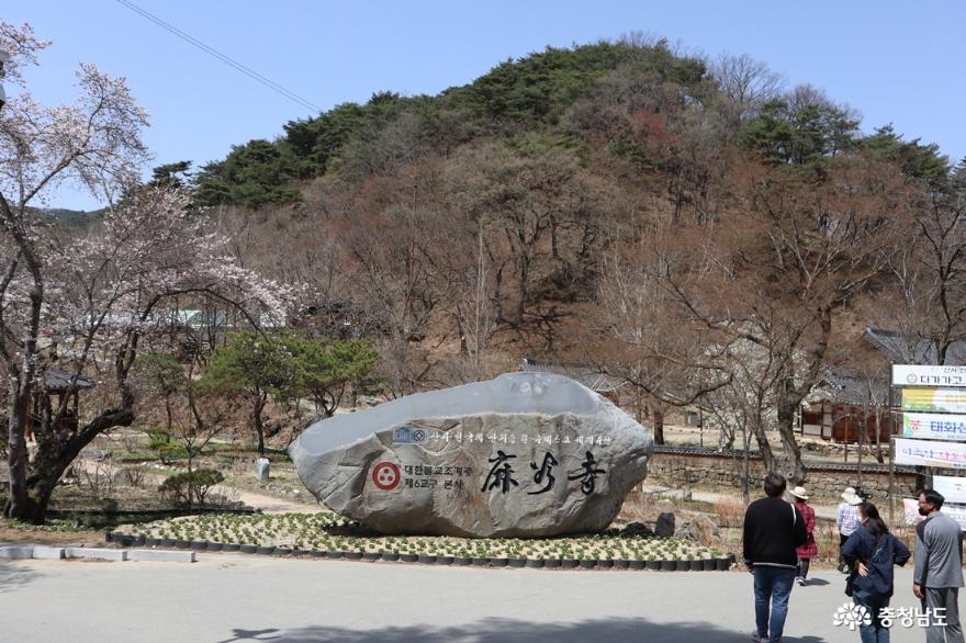 한국의 산지승원 유네스코 세계유산 대한불교조계종 제6교구 본사 마곡사”