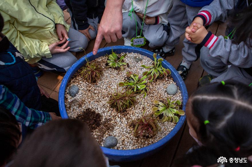 자연과 친구하며 친밀함을 느낄 수 있는 어린이 식물 관찰 교실 사진
