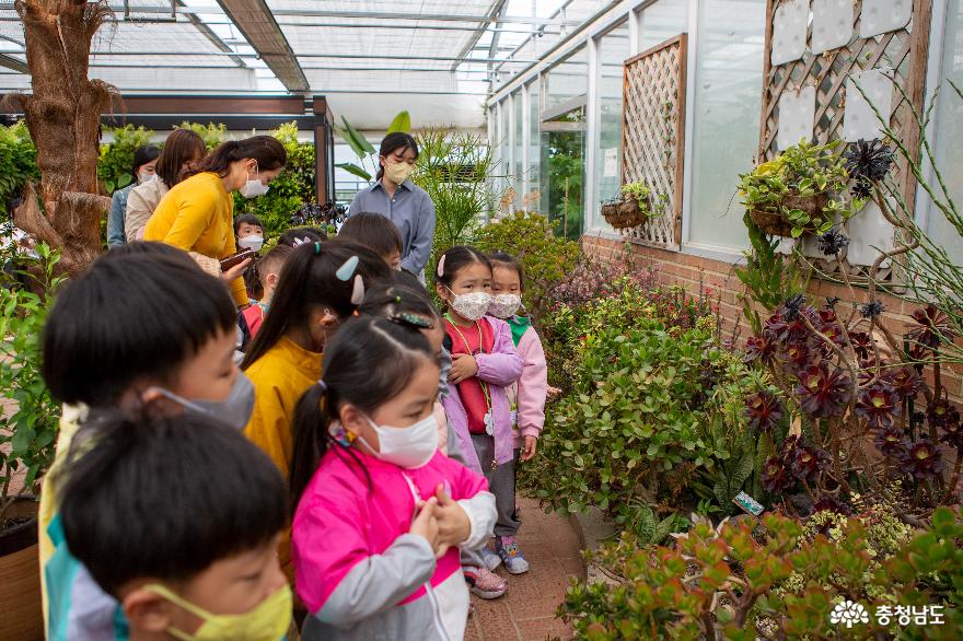 자연과 친구하며 친밀함을 느낄 수 있는 어린이 식물 관찰 교실 사진