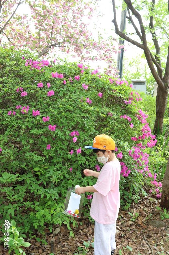 겹벚꽃이 이쁘게 핀 아산당림미술관 사진
