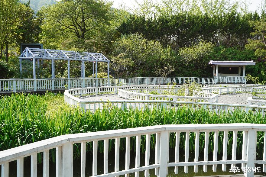 초록과 허브향이 진동하는 보령 개화예술공원과 허브랜드 사진