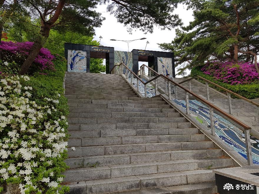 예쁜 꽃에 포위되다! 봄날에 취하는 추천 여행지 '보령댐물빛공원'