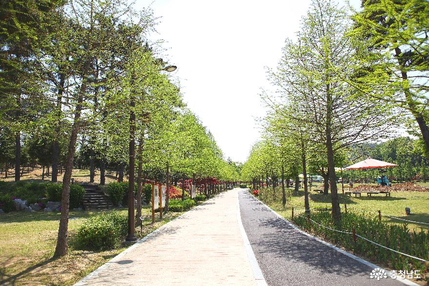 천천히걷기만해도힐링되는논산시민공원 7