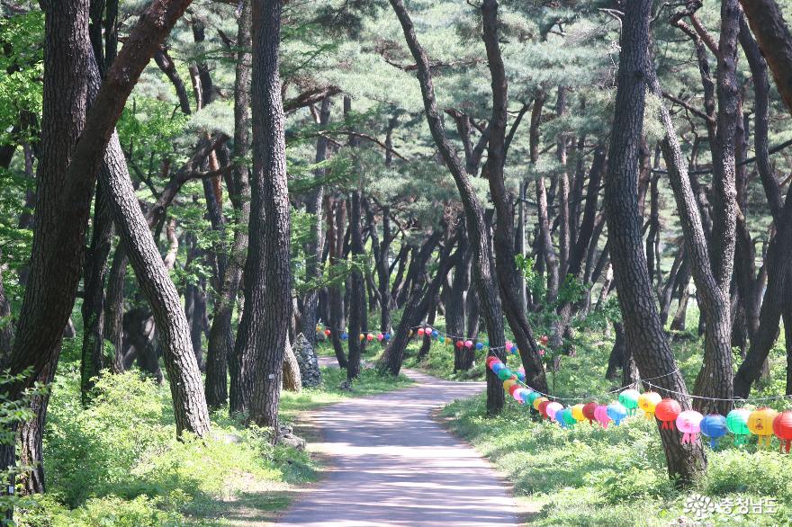 초록 여행지, 아산 천년의 숲길 & 봉곡사 사진
