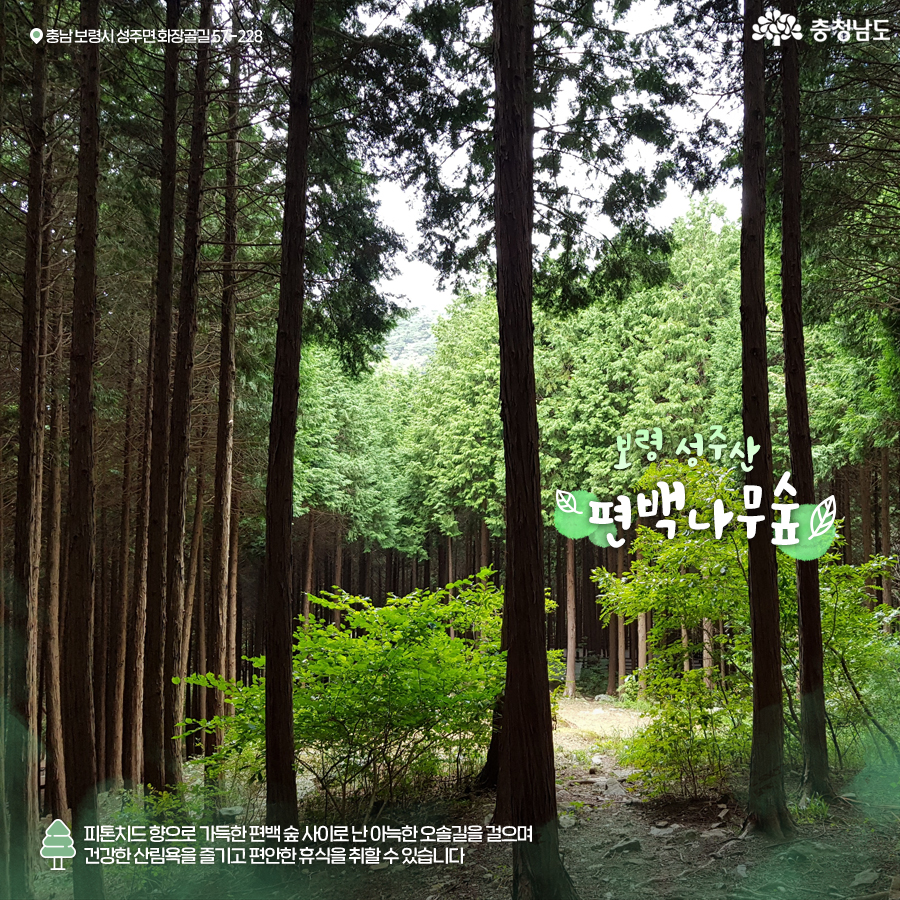 걷기좋은충남의숲 8