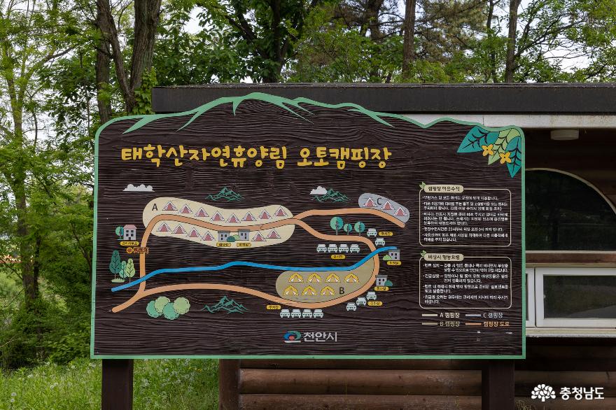 이번주말캠핑가자천안태학산자연휴양림 2