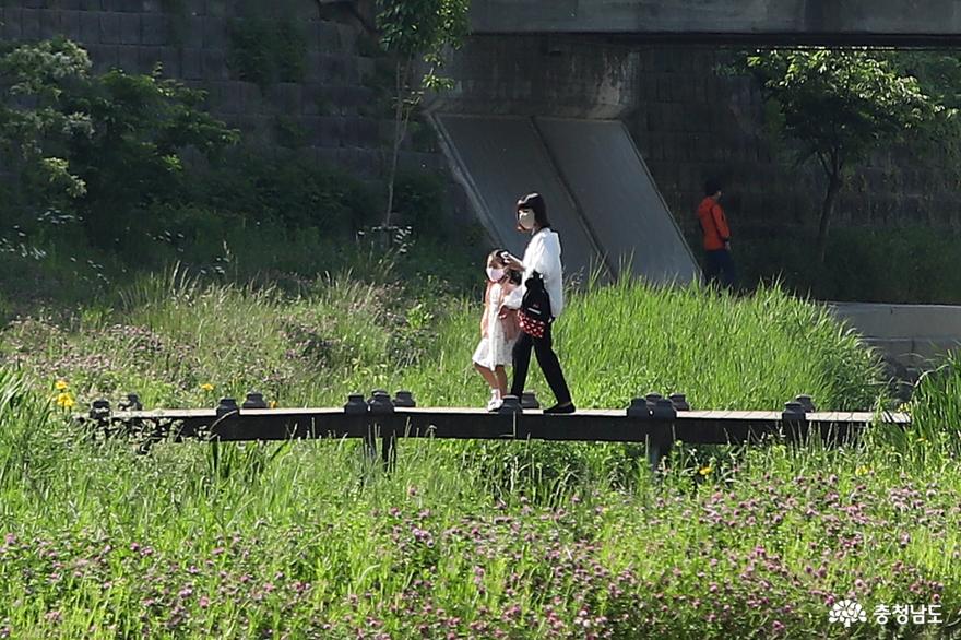 공주 제민천(濟民川)에서 아내와 데이트 사진