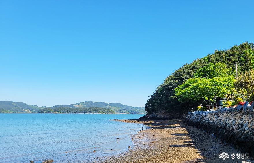 서해바다의 매력 팔봉호리마을 해변과 바닷길 사진