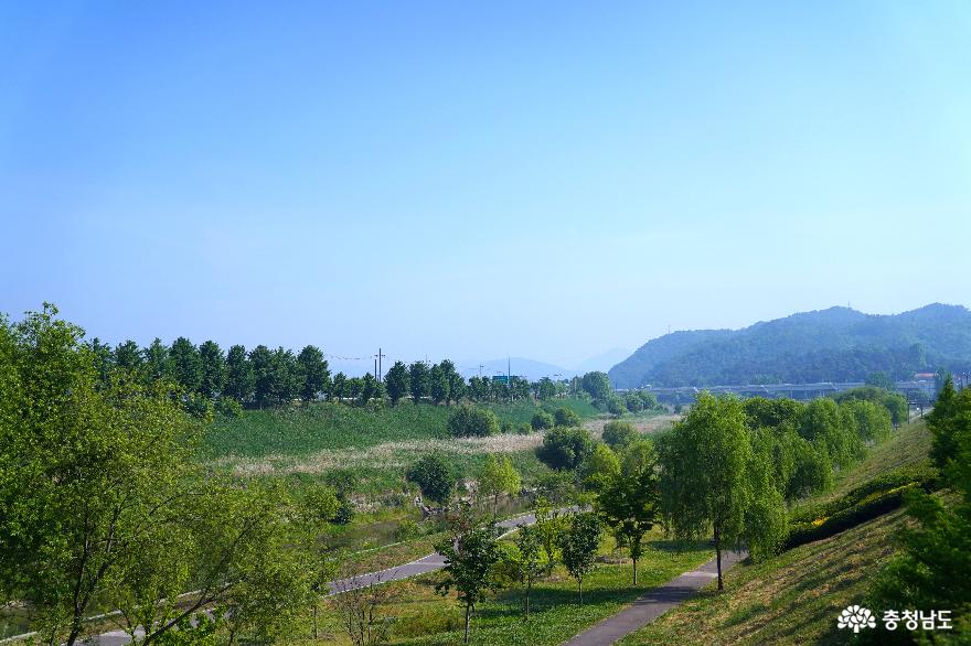 도심 속 생태공원, '정안천'의 5월 풍경