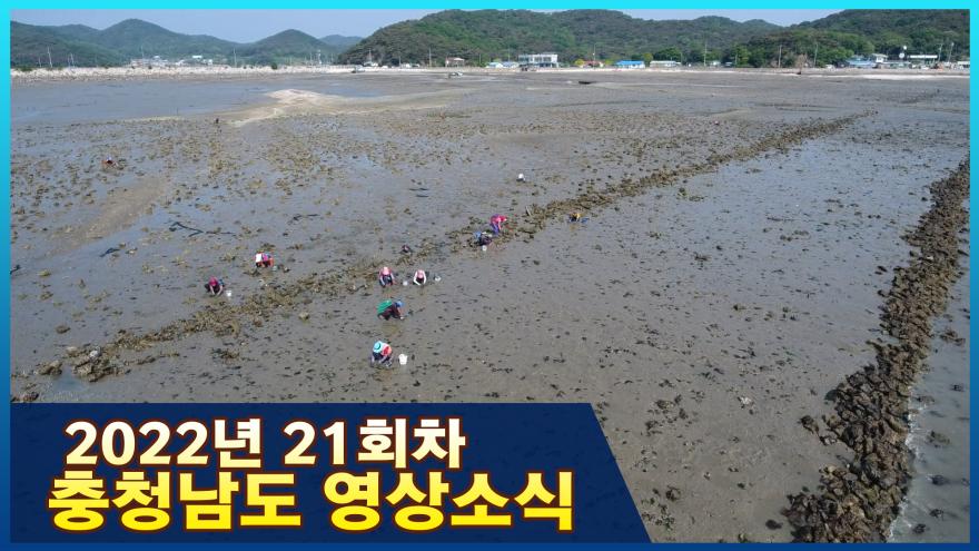 [종합] 2022년 21회차 충청남도 영상소식