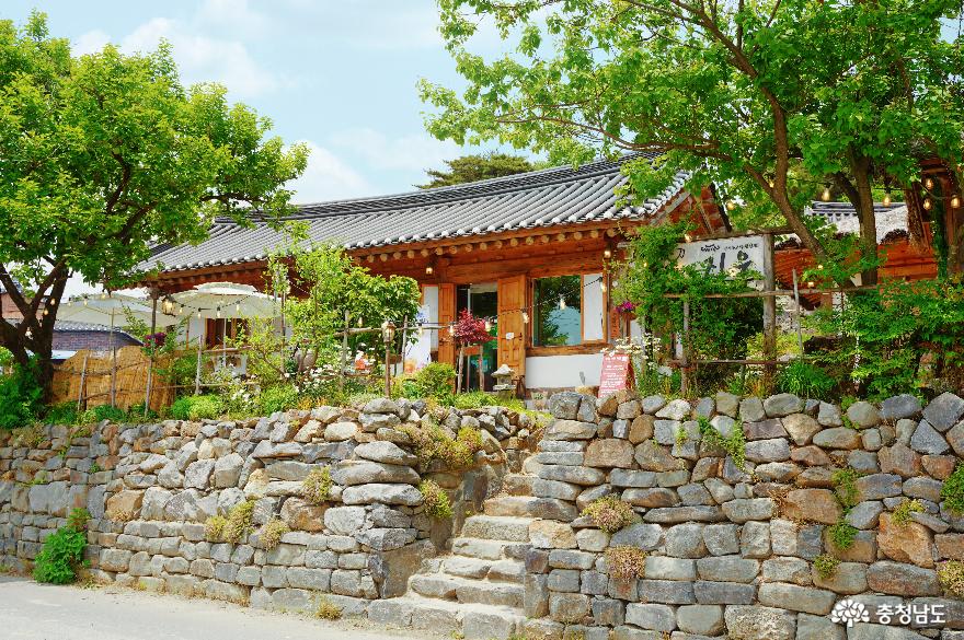 충남관광