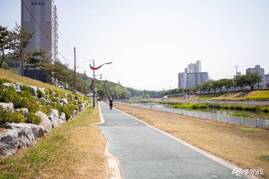 청양 도심 속 휴식공간, 도시공원 천천히 걸어보기 사진