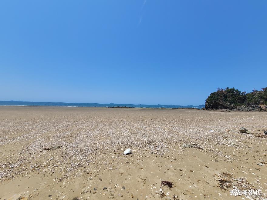 태안 조용한 해변 ‘삼봉해수욕장’ 사진