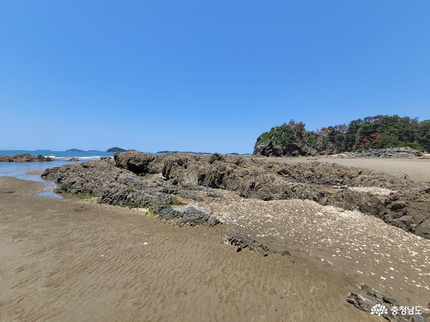 태안 조용한 해변 ‘삼봉해수욕장’ 사진