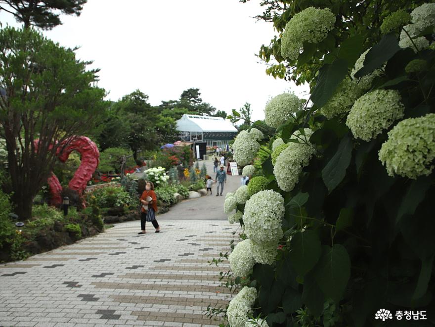 민간정원 1호 아름다운 정원 화수목 이야기 사진