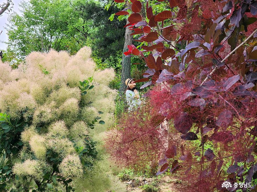 민간정원 1호 아름다운 정원 화수목 이야기 사진