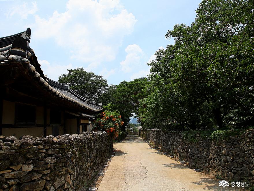 여름꽃 화사하게 핀 아산 외암민속마을 사진