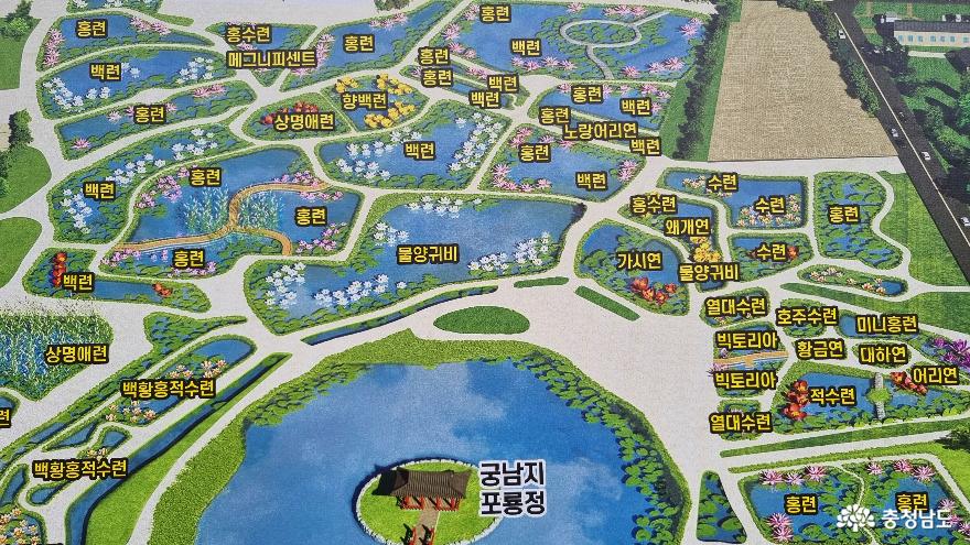 서동공원(궁남지) 연꽃 지도