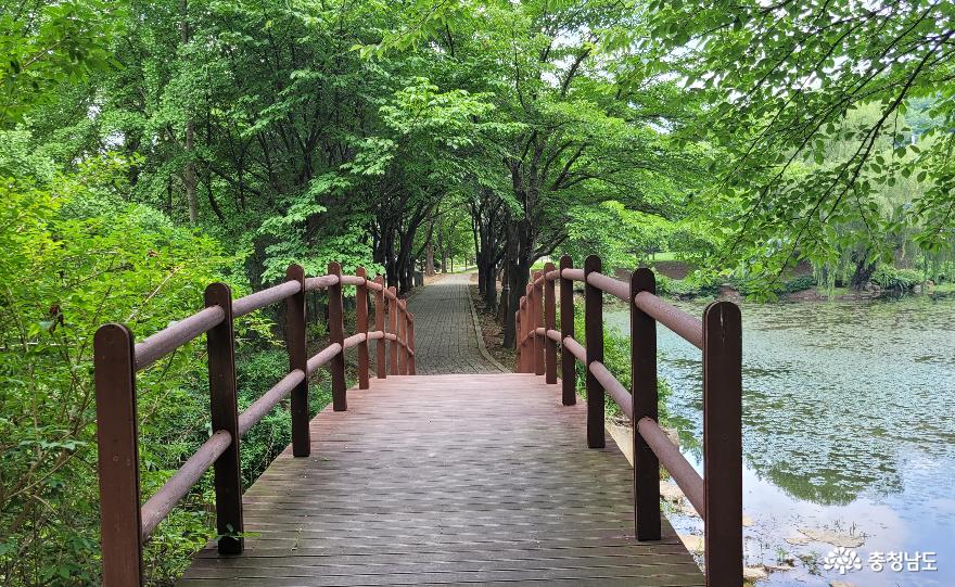벚꽃 나무길에서 세출저수지로 연결되는 다리 