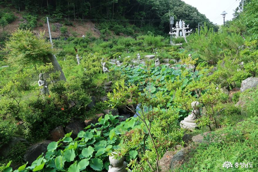 야생화, 불상, 나무 조각작품, 연꽃 연못으로 아름다운 사찰 천왕사 사진